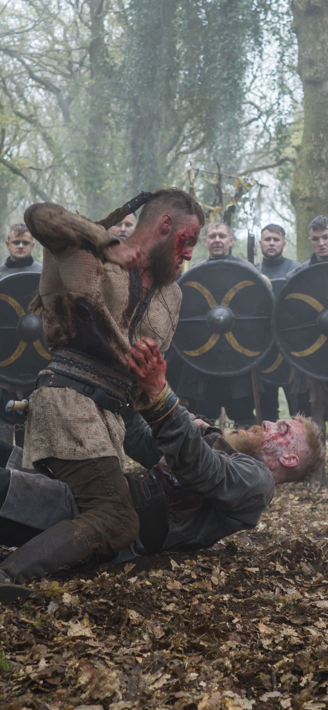 1242x2688 Phone wallpaper: Tv Show, Vikings 1335388