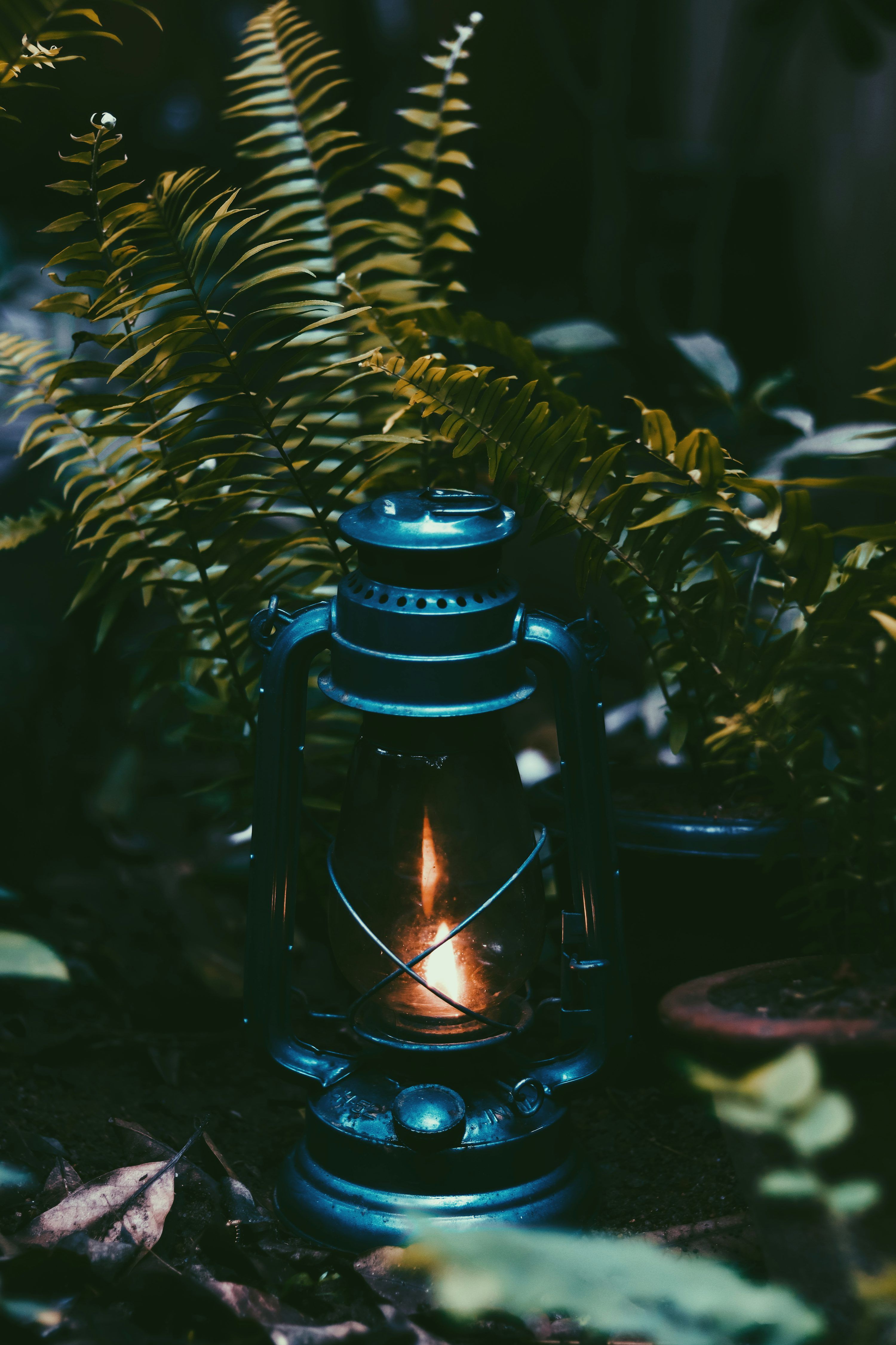 3000x4500 Kerosene Picture. Download Free Image