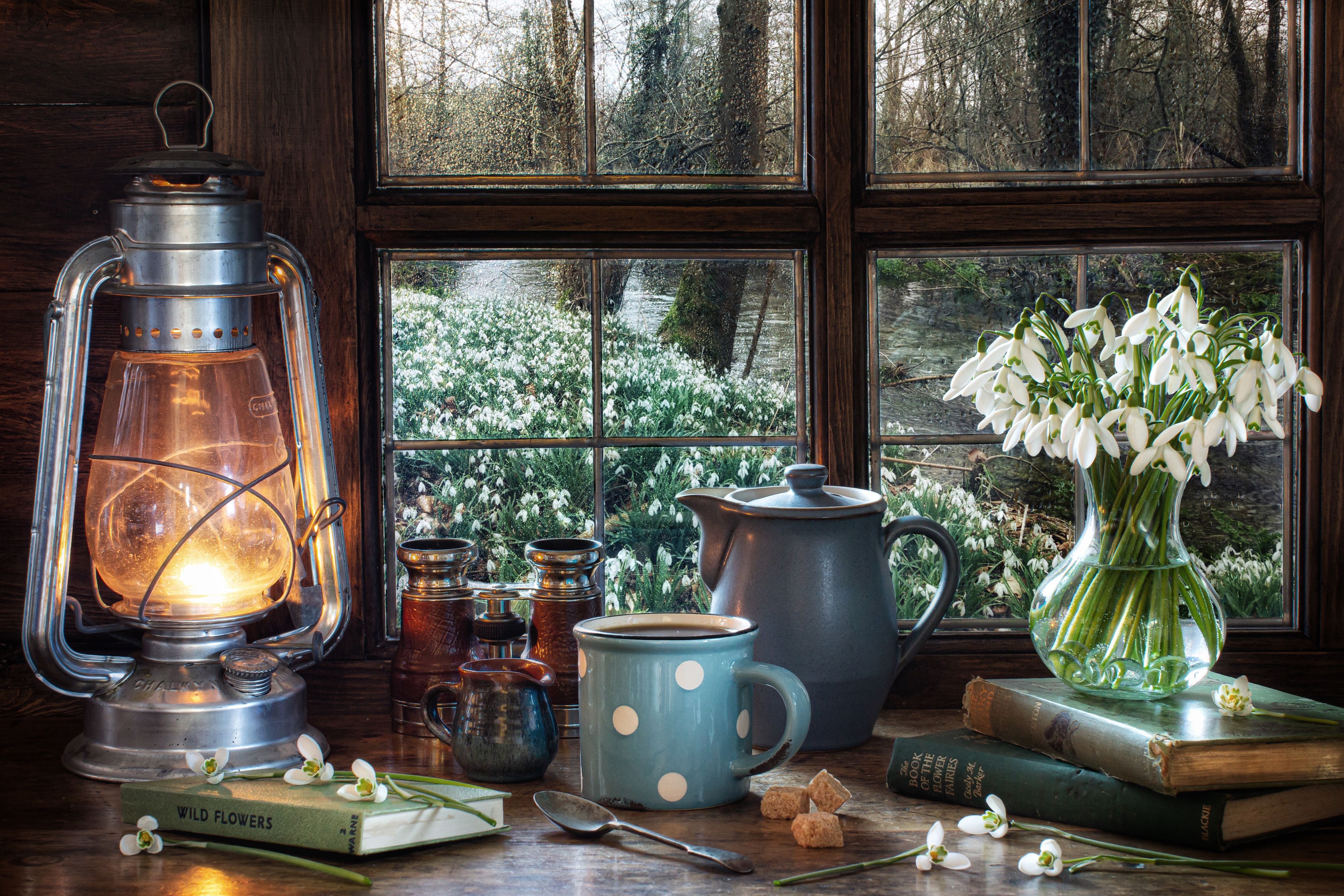 4200x2800 Phone wallpaper: Artistic, Still Life, Kerosene Lamp, Pussy Willow, Window 966418