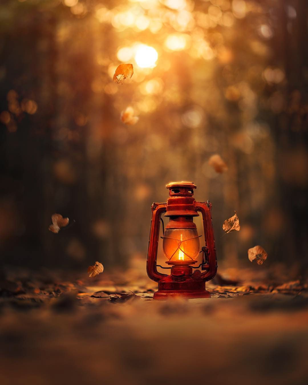 1080x1350 Little Light of Mine series (11). Image - Behance