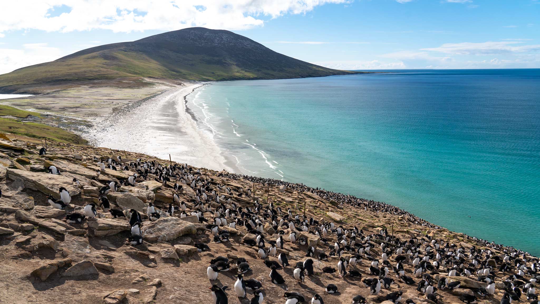 2048x1152 Reasons to visit the Falkland Islands (as part of a South America itinerary)