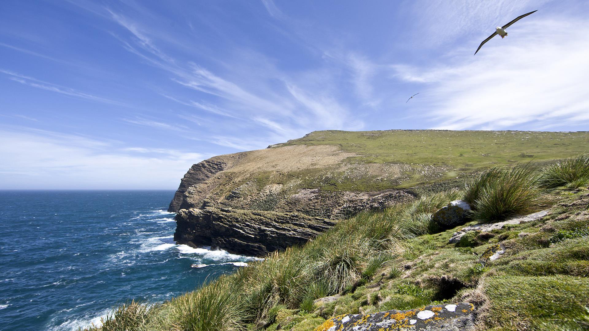 1920x1080 Explore West Point Island, Falklands