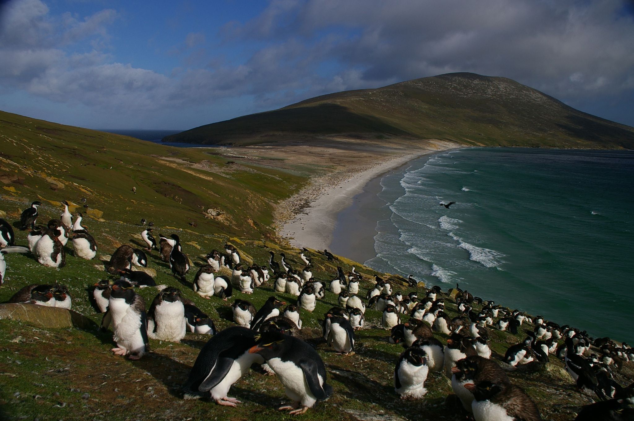 2048x1361 Falkland Islands: The Great Wilderness