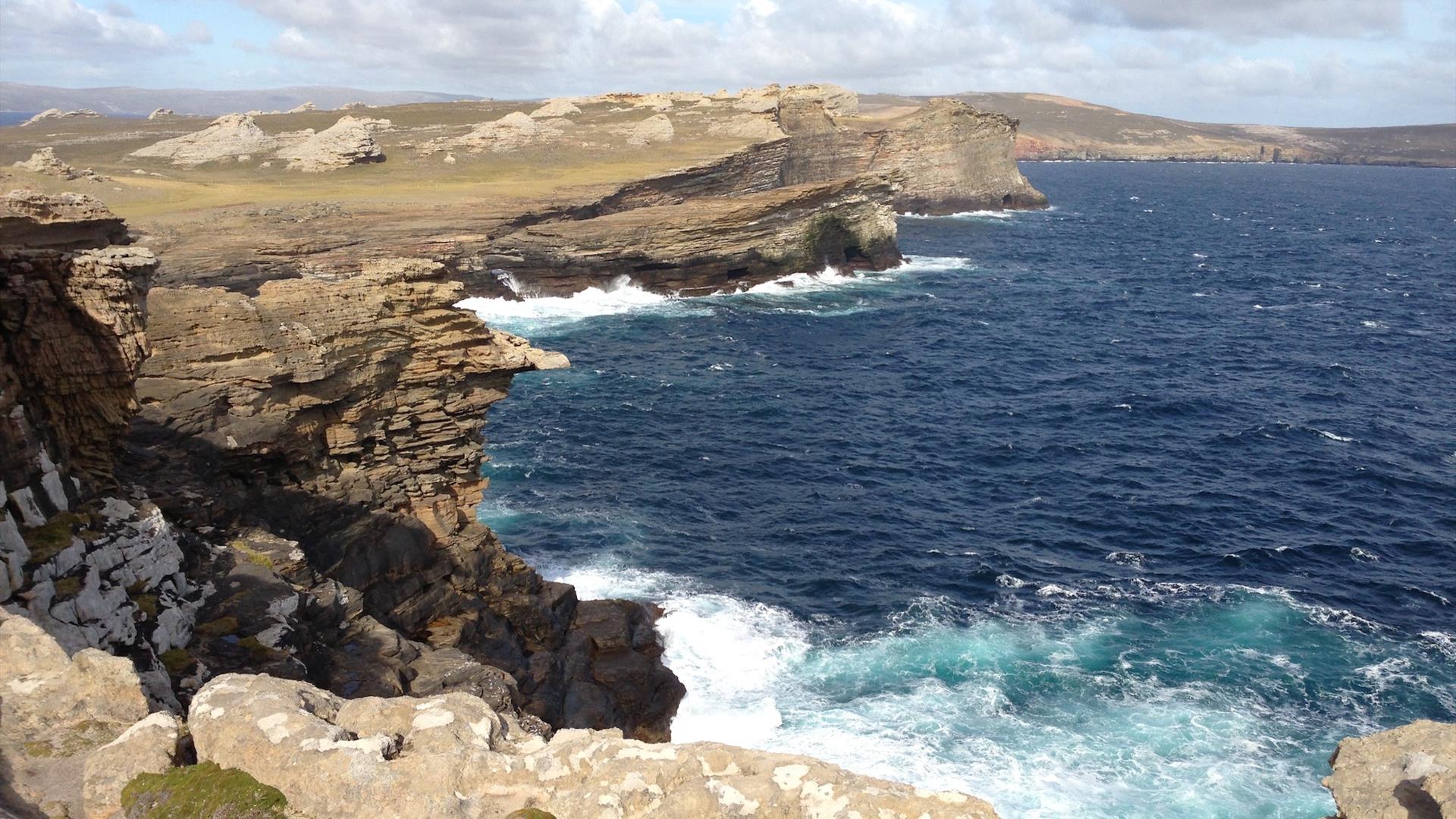1920x1080 Discover New Island, Falklands