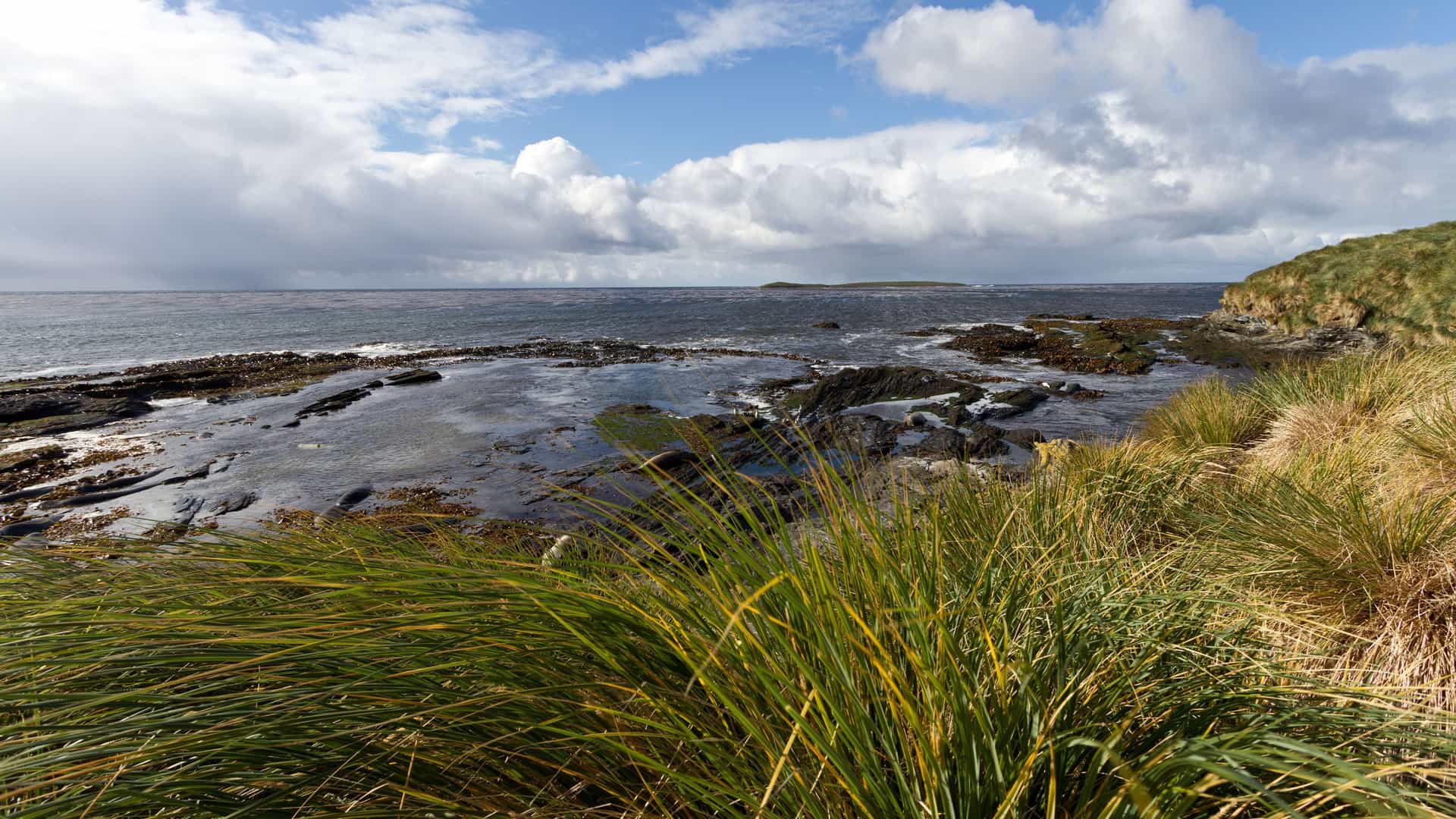 1920x1080 West Point, Falkland Islands Cruise Port & Excursions 27. The Cruise Web