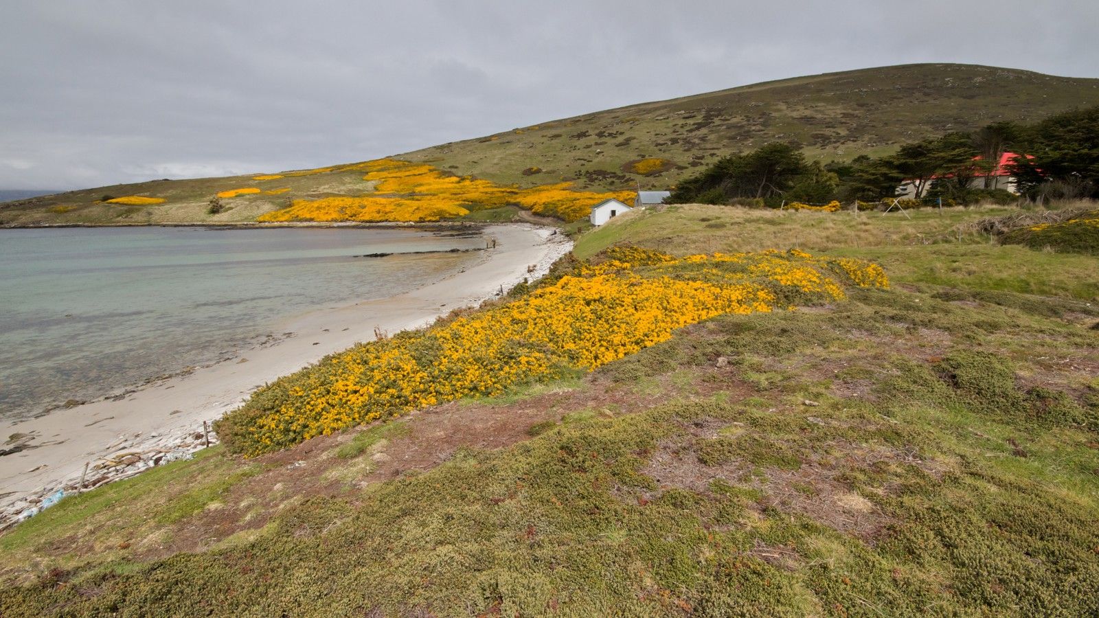 1600x900 Falkland Islands: a natural paradise