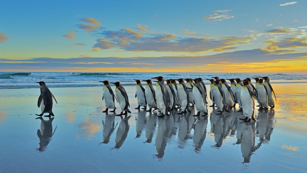 1280x720 Bing Wallpaper Archive