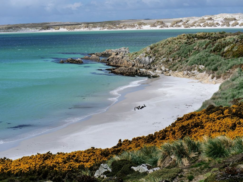 1024x768 Explore Beauty Worth Fighting For: The Falkland Islands