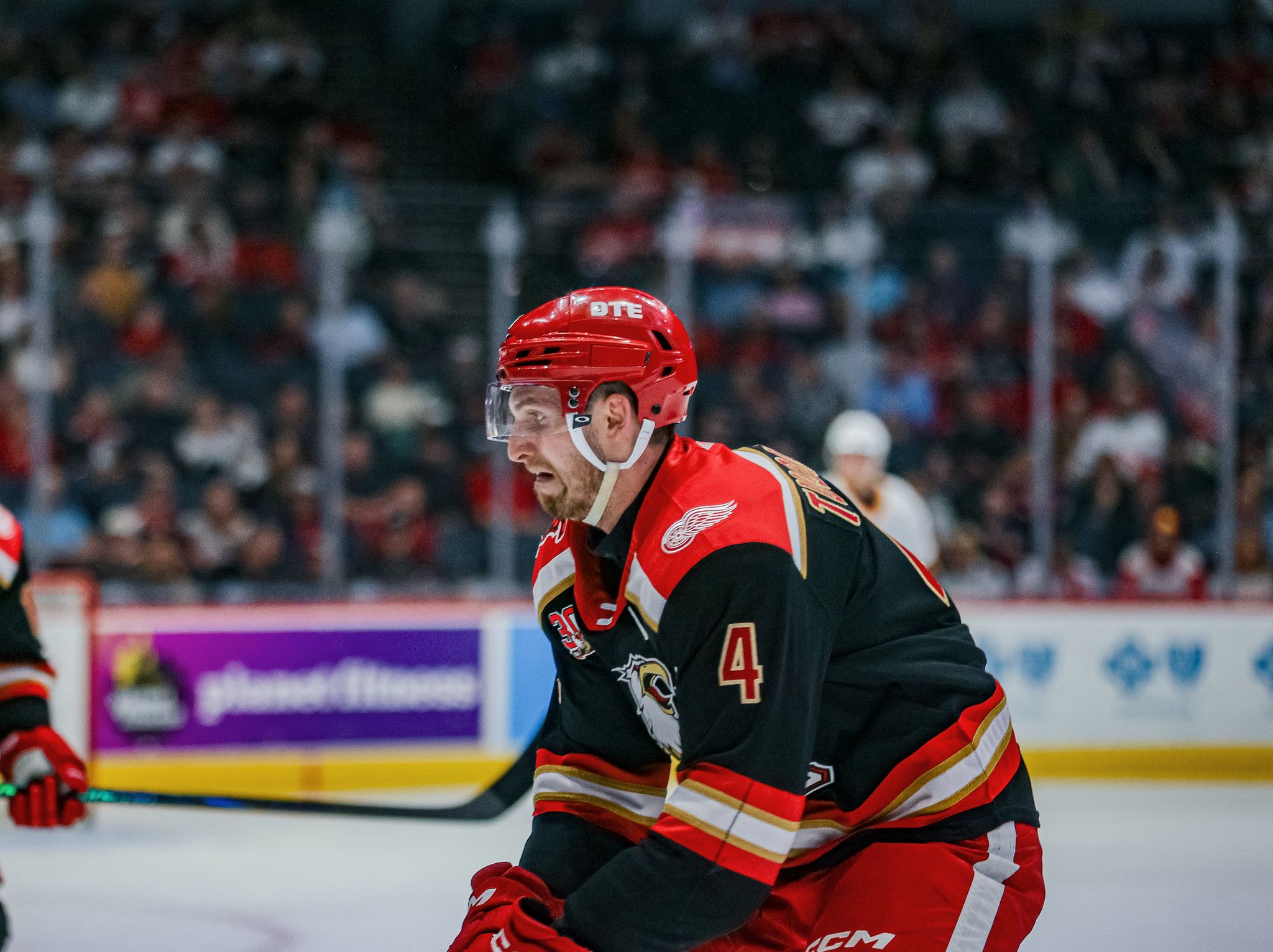 2048x1532 Steve Yzerman: Red Wings better defensively, should score more after moves