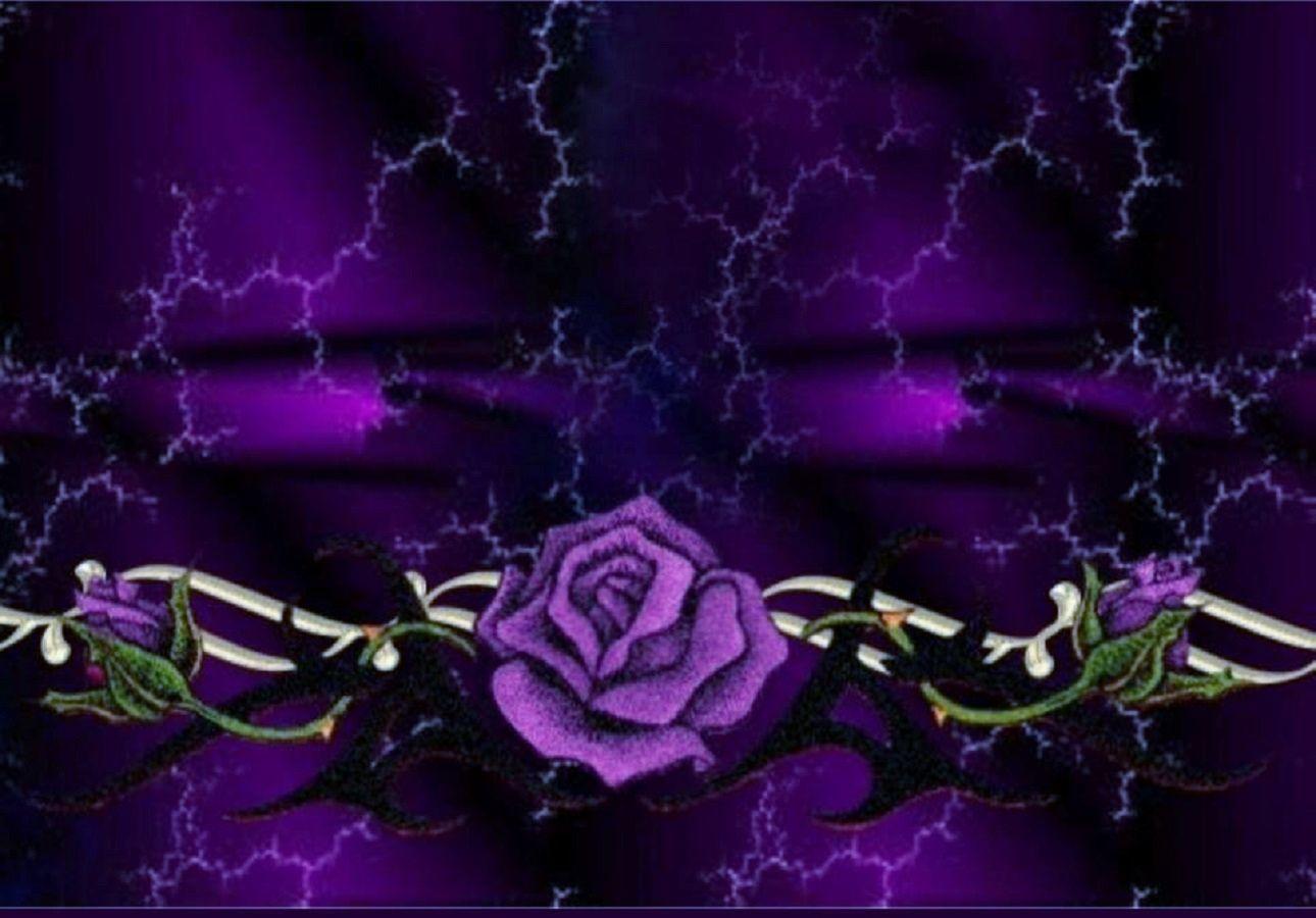 1290x900 Free download Rose on Marble PC Purple Wallpaper Pinterest
