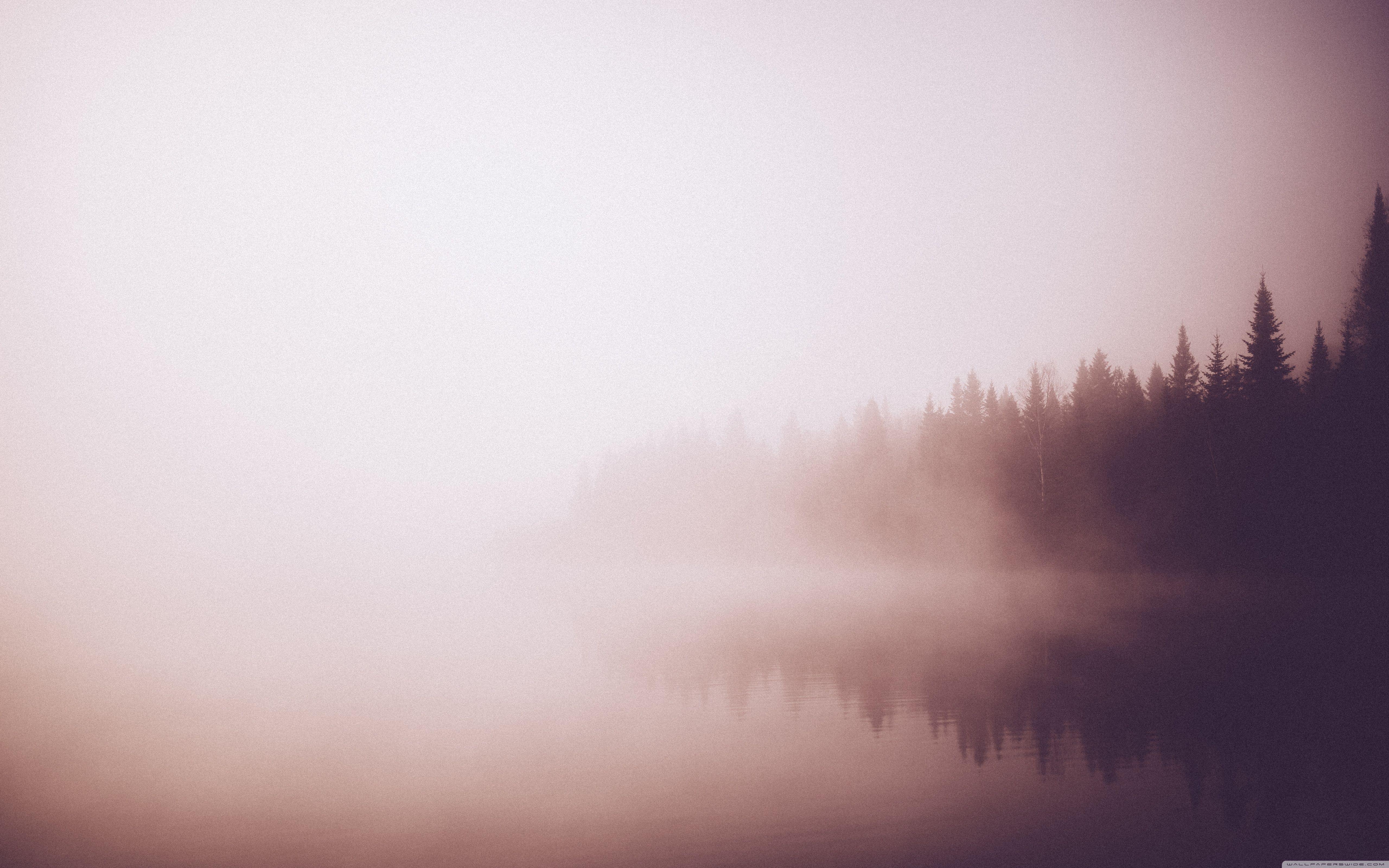 5120x3200 Vintage Forest By a Lake Ultra HD Desktop Background Wallpaper