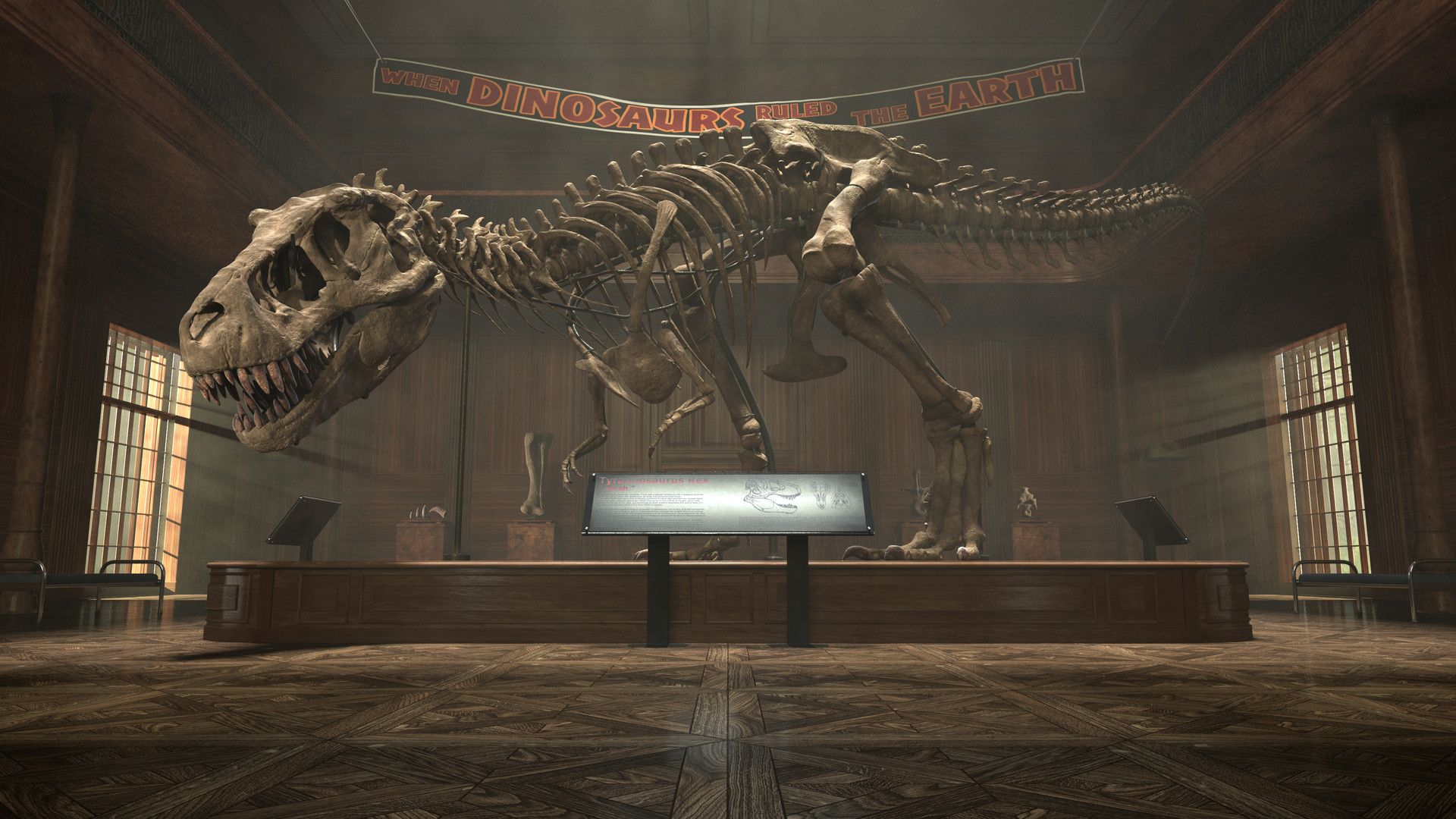 1920x1080 Sebastien Evrard Rex Museum