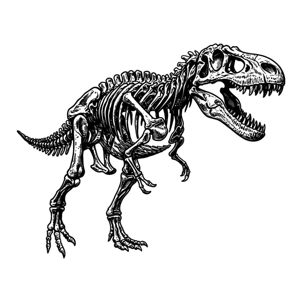 980x980 Prehistoric Tyrannosaurus Rex Skeleton Fossil Black and White Outline Line Art Drawing Ancient Dinosaur