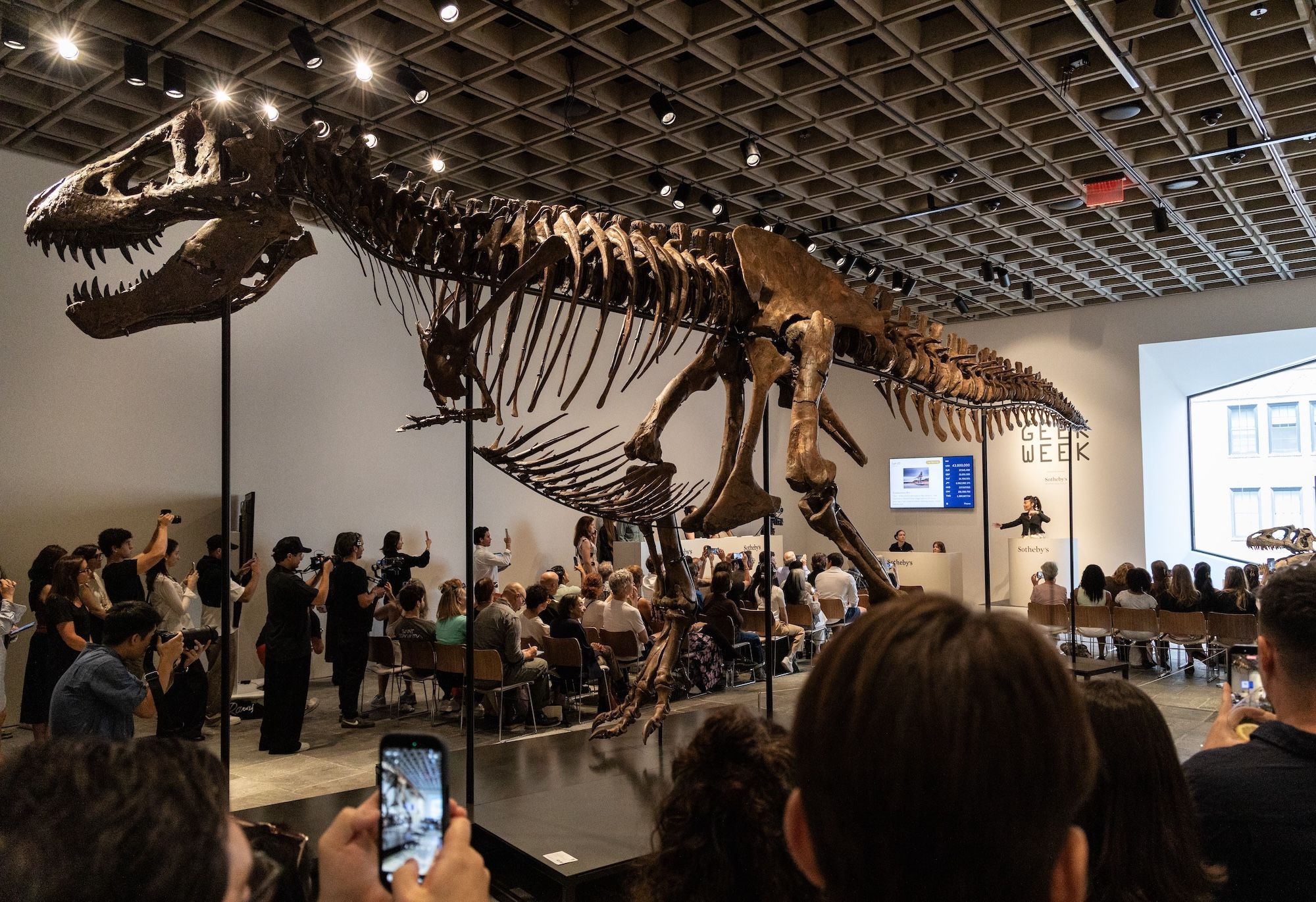 2000x1370 Gus The T Rex Sells For A Record $50.1m At Sotheby's Art Newspaper Art News And Events