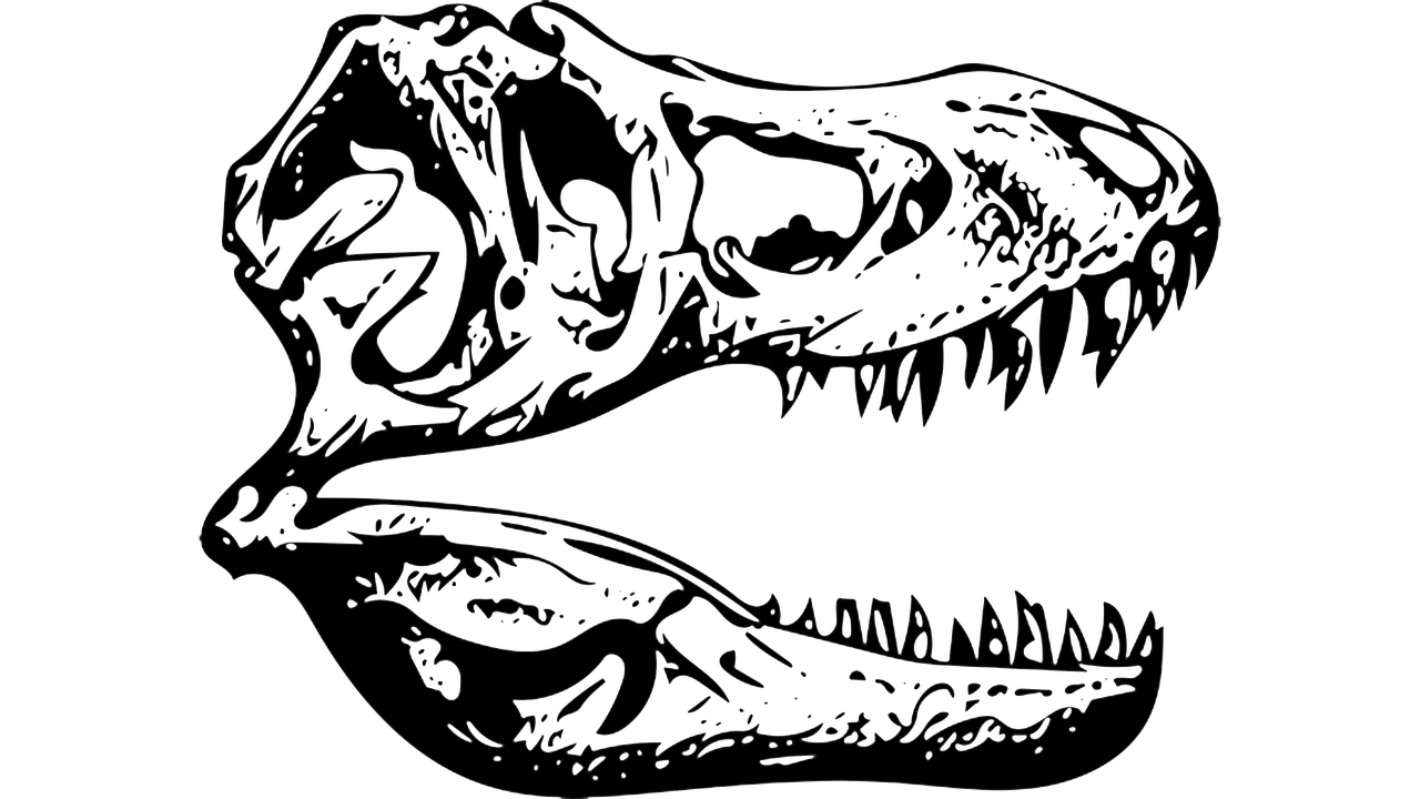 1280x720 Download T Rex Tyrannosaurus Fossil. Royalty Free Stock Illustration Image