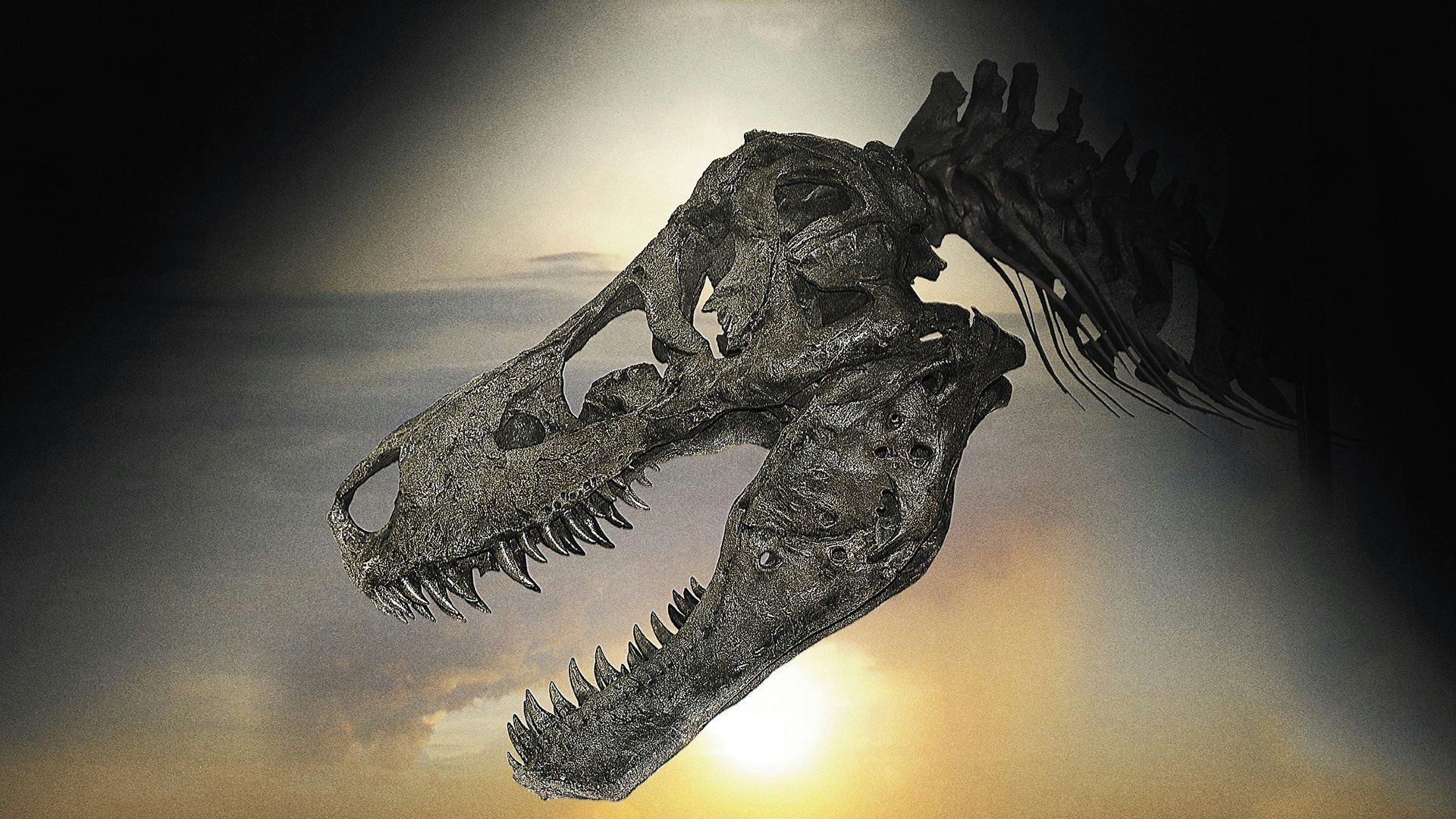 1920x1080 Dinosaur 13 Review