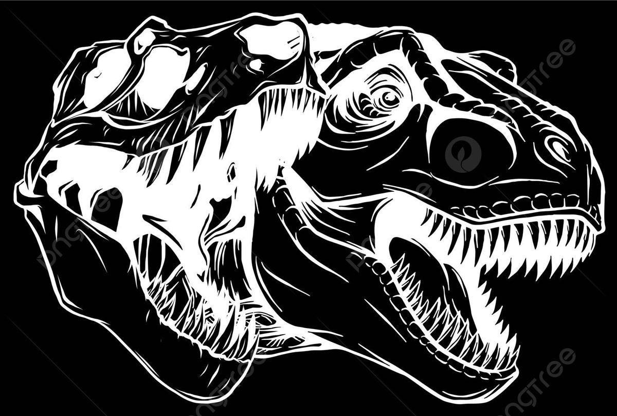 1200x809 Vector Illustration Design Of The Silhouette Of A Tyrannosaurus Rex Skull Fossil On A Black Background Vector, Ancient, Time, Bones Illustration Background And Wallpaper For Free Download