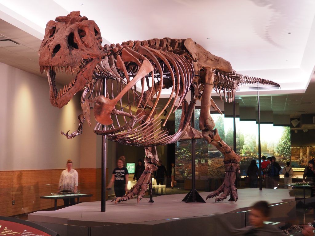 1024x768 Tracking the Dinos and Digging for Fossils in Museums and Parks Across North America RV Club