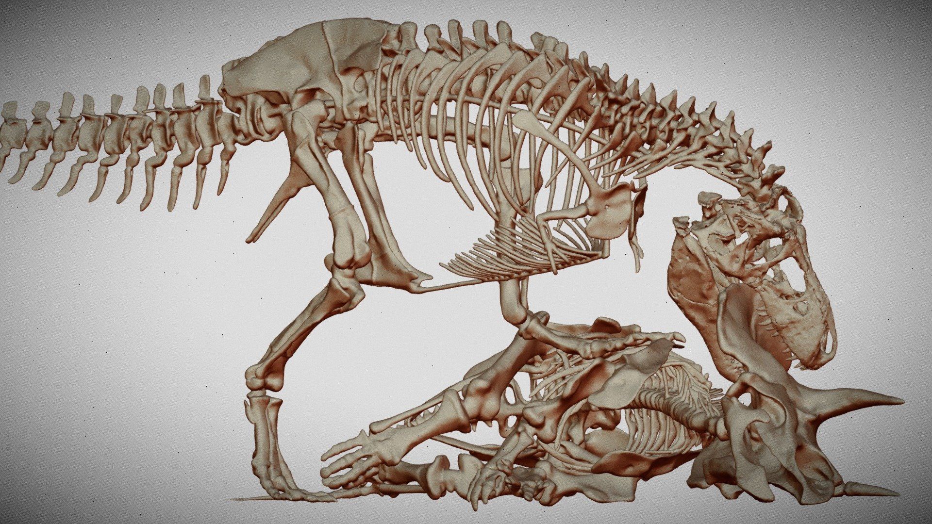 1920x1080 T Rex_whole_mm_1 20_scale Free 3D Model By Proflibrary09 [5c8e2fd]