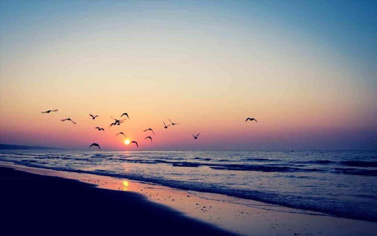 1501x938 DP 91. Vintage California Beach Photo, Wallpaper Free Download