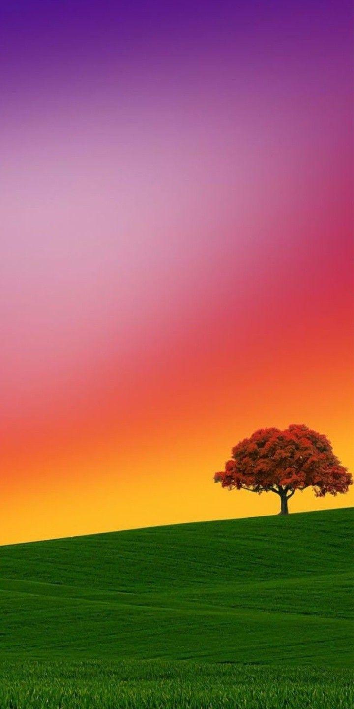720x1440 Phone Wallpaper. Mypin. Beautiful landscape wallpaper, Beautiful nature wallpaper, Landscape wallpaper