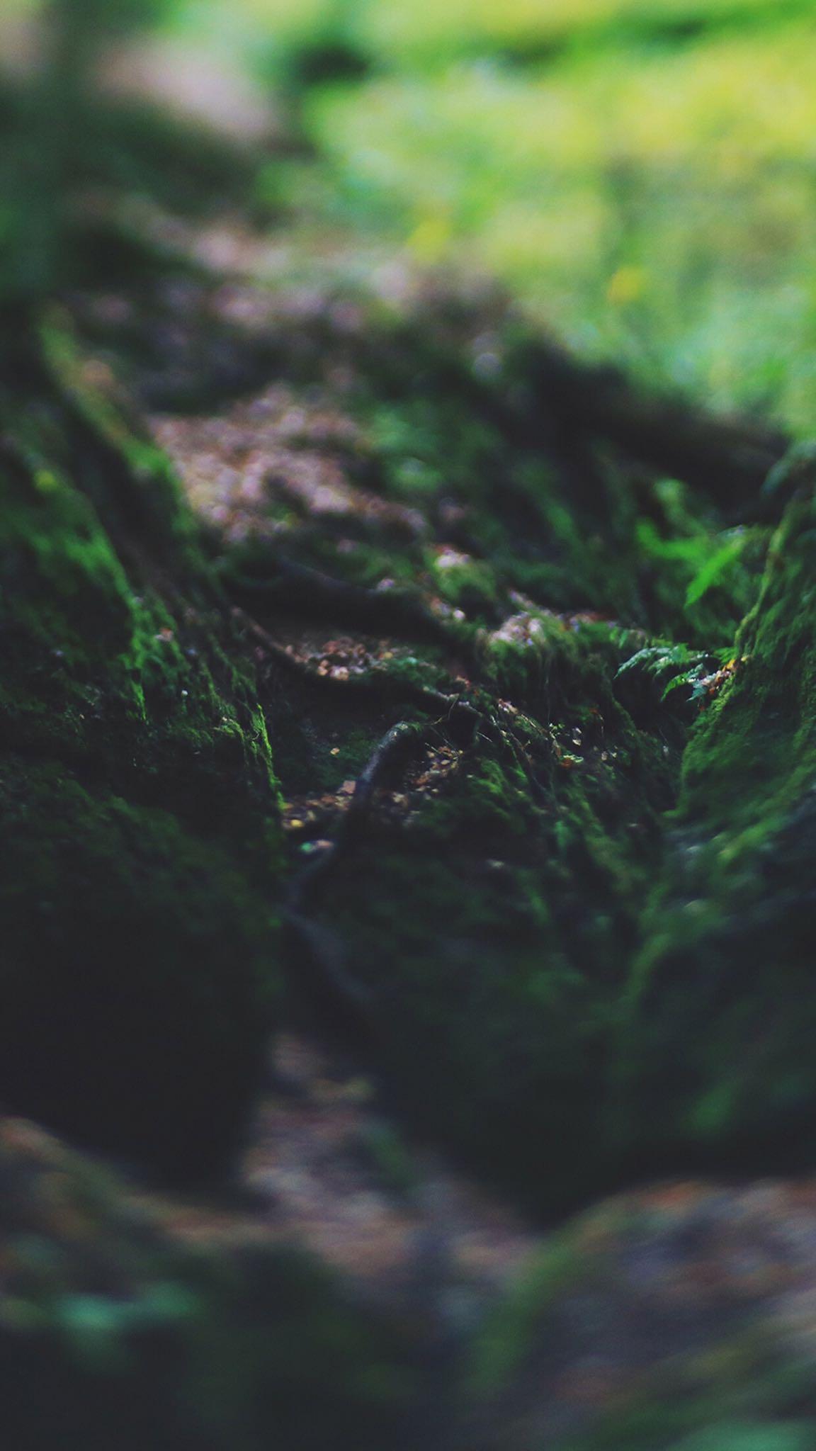 1152x2048 Phone Wallpaper Thread