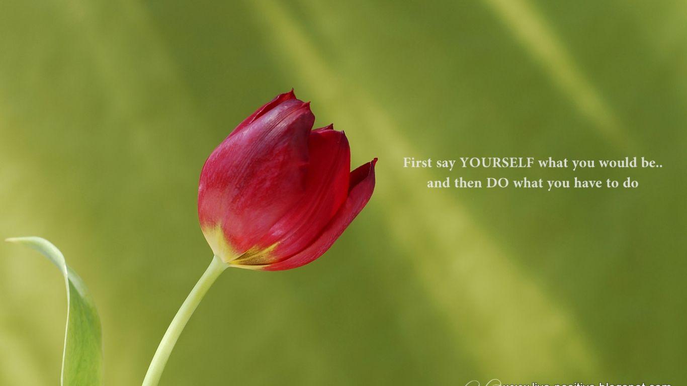 1366x768 Free download Positive and inspirational quotes inspirational quotes Funny [1440x900] for your Desktop, Mobile & Tablet. Explore Positive Attitude Wallpaper. Attitude Wallpaper, Attitude Wallpaper for Girls, Positive Affirmations Wallpaper