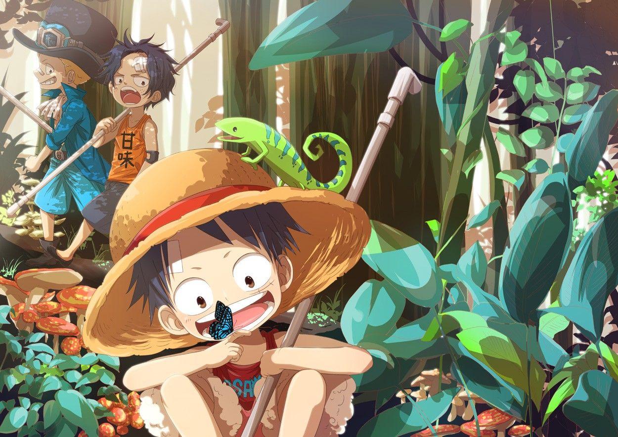 1250x884 Free download One Piece Anime HD Wallpaper Design Hey Design Hey