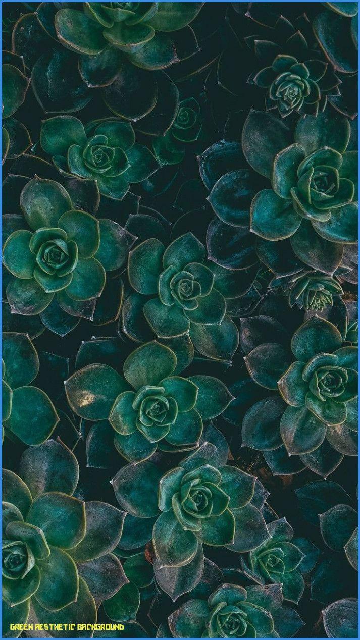 713x1268 Green Aesthetic Tumblr Wallpaper