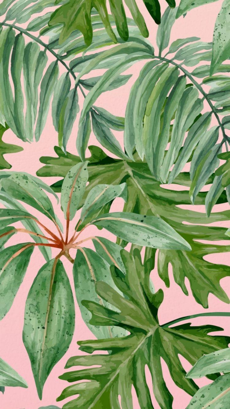 750x1334 Free download Plant Aesthetic Wallpaper Top Plant Aesthetic