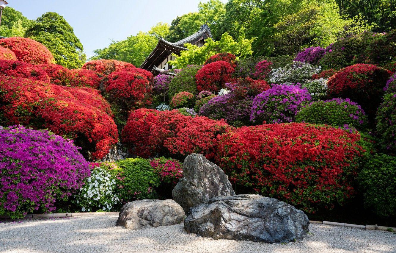 1332x850 Wallpaper stones, Japan, garden, Japan, Kyoto, Kyoto, flowers