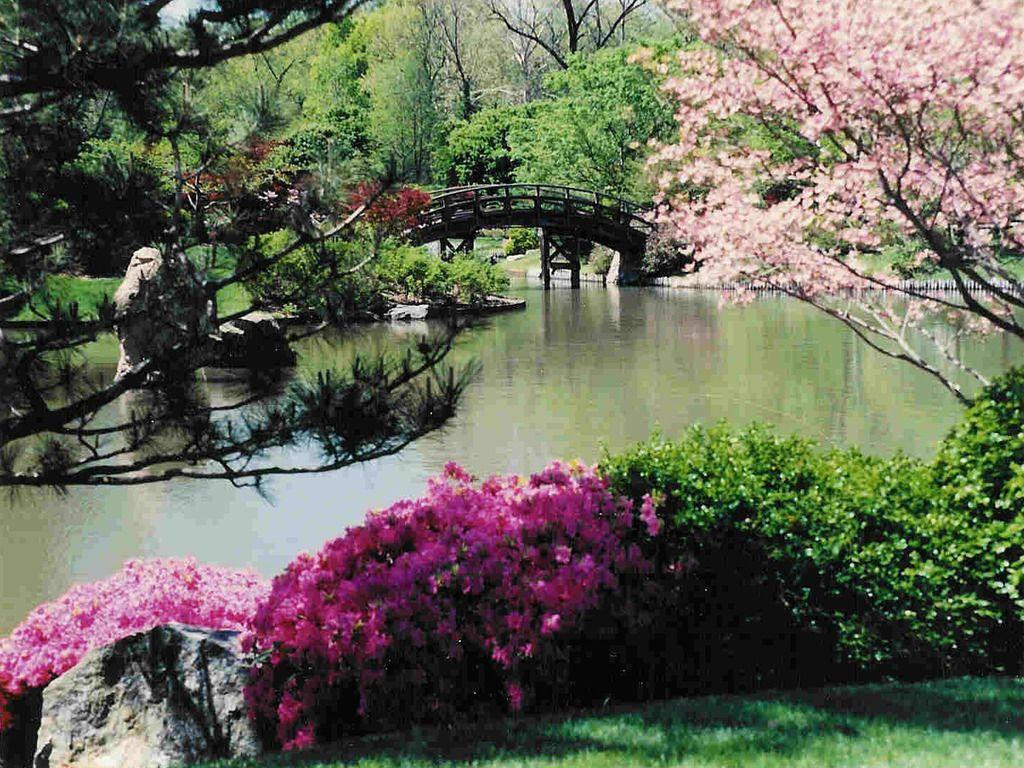 1024x768 eleletsitz: Spring Japanese Garden Wallpaper Image