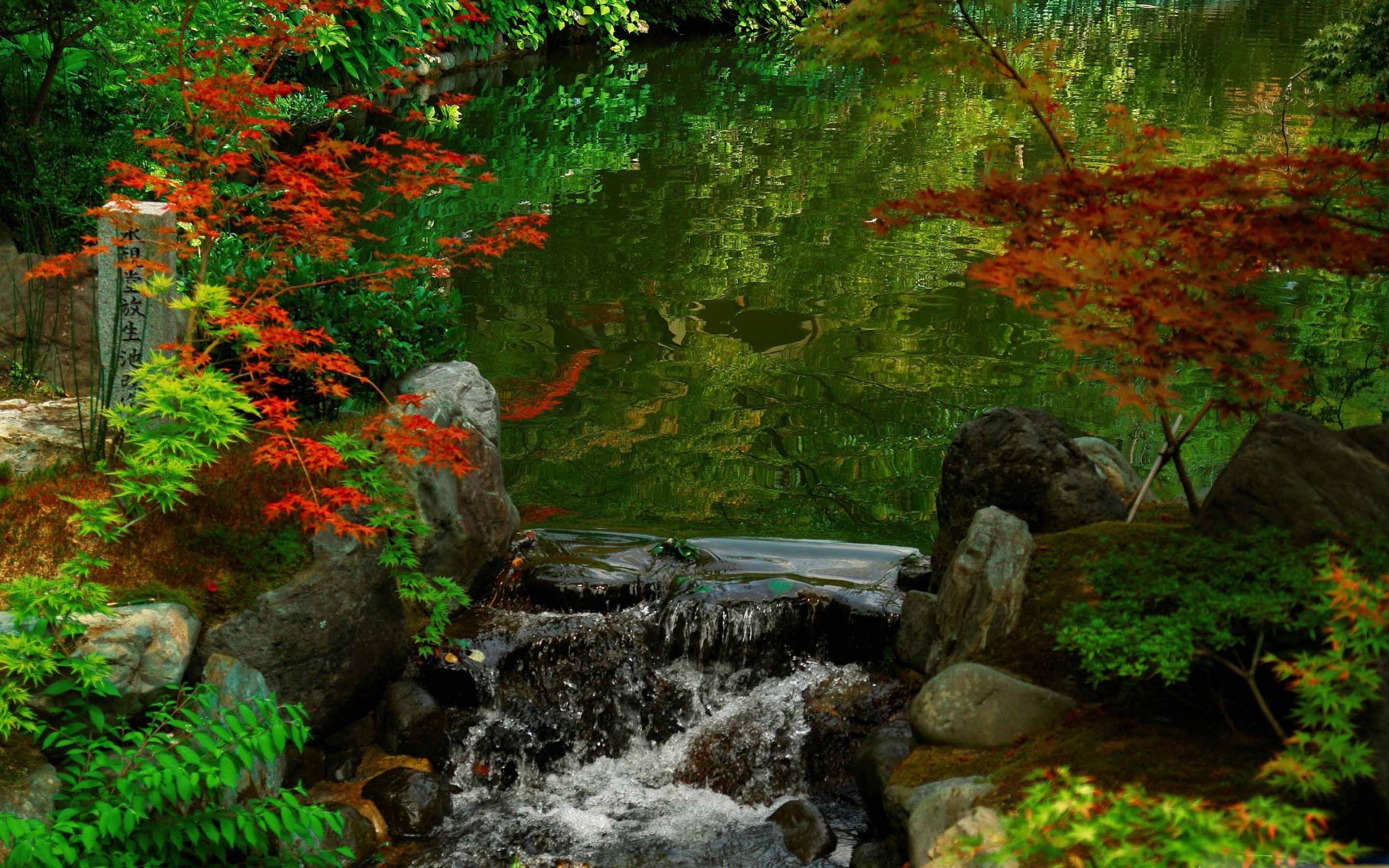 2560x1600 Best garden Mac Wallpaper Free HD Download
