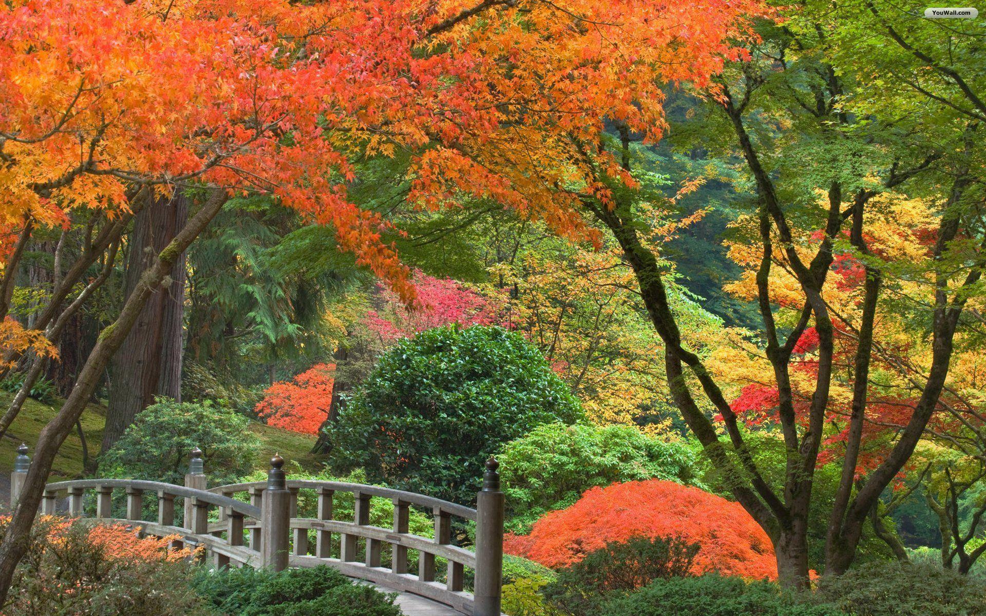 1920x1200 Japan Garden Wallpaper