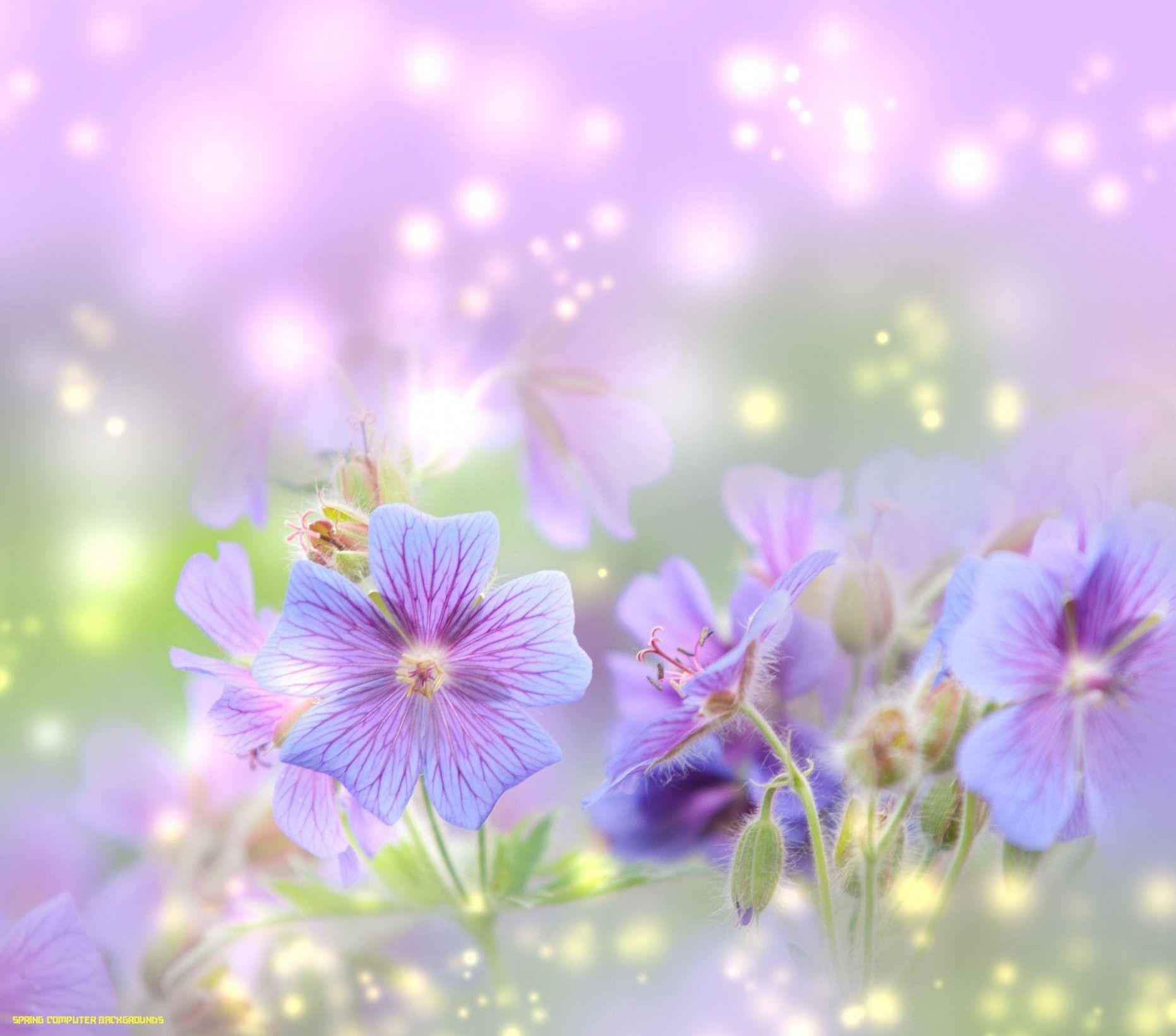 1862x1640 Free Spring Computer Wallpaper