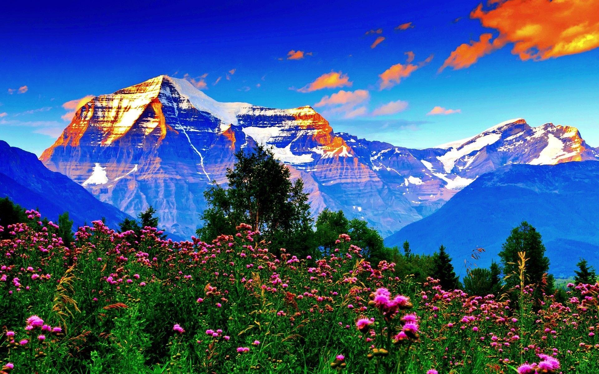Springtime Computer Wallpapers - Top Free Springtime Computer ...