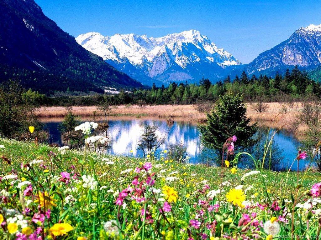 1024x768 Springtime Computer Wallpaper Background Image Desktop Background