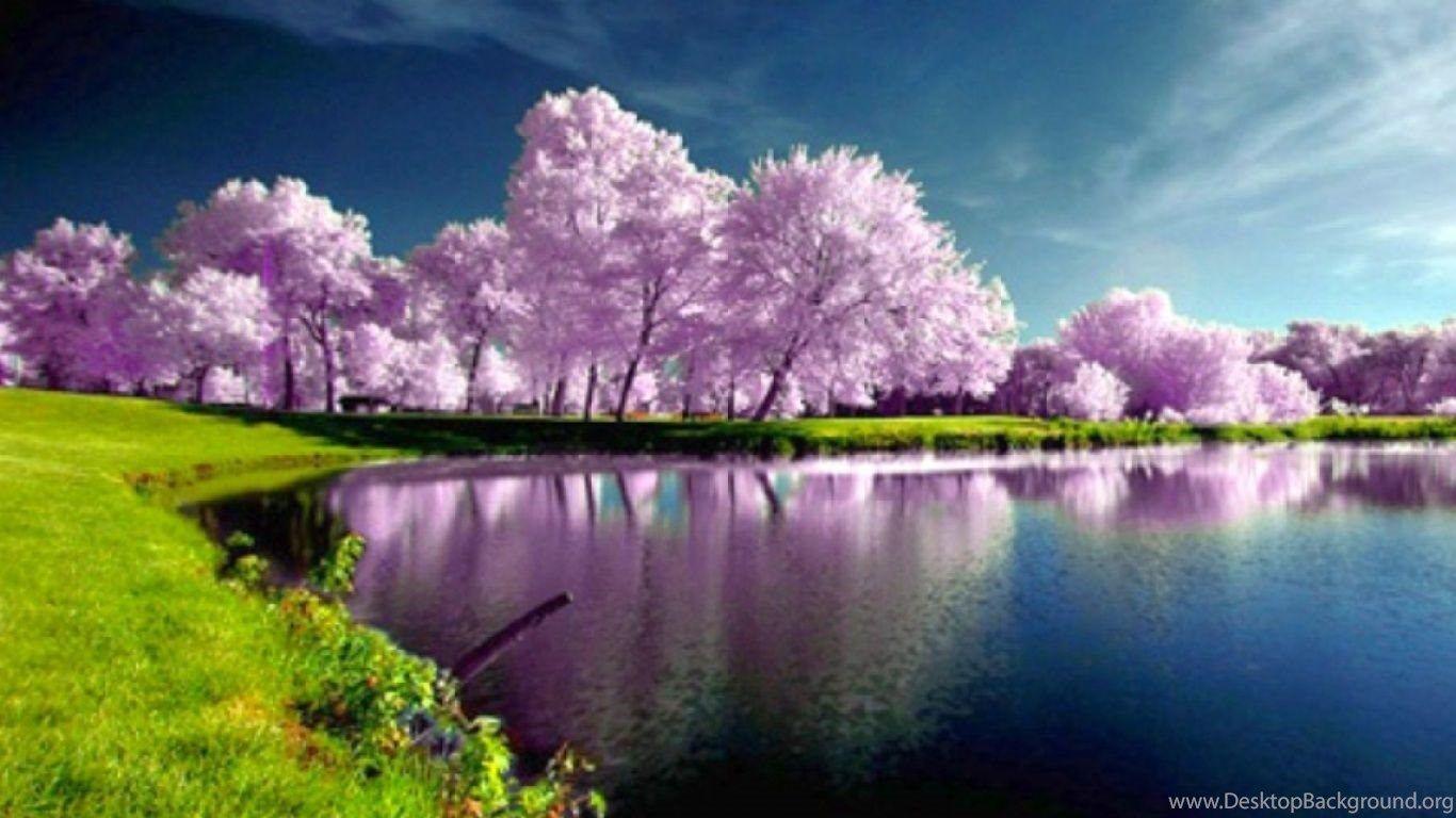 1366x768 Springtime Wallpaper For Desktop Desktop Background