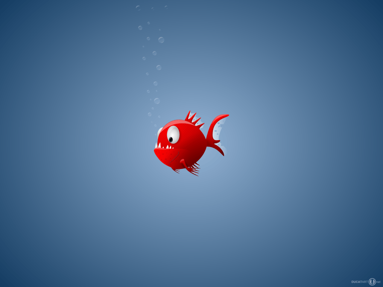 1280x960 piranha wallpaper