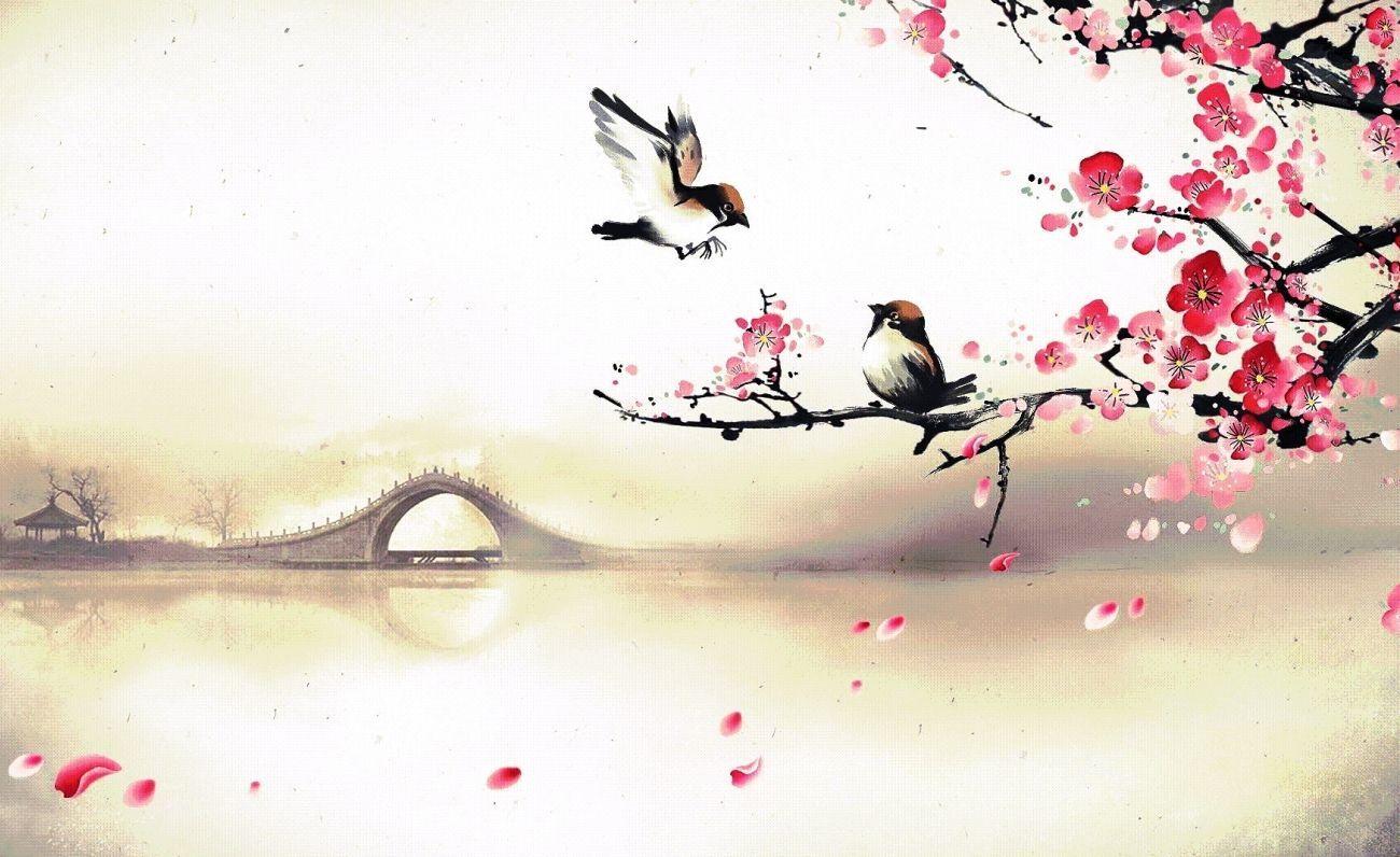 1300x796 4k Cherry Blossom Wallpaper