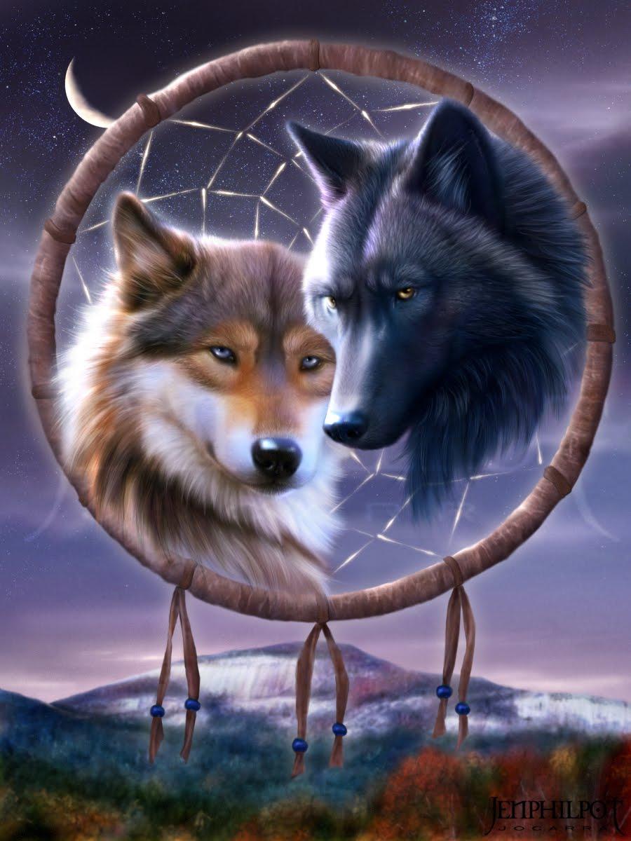 900x1200 Native American Wolf Dreamcatcher Wallpaper