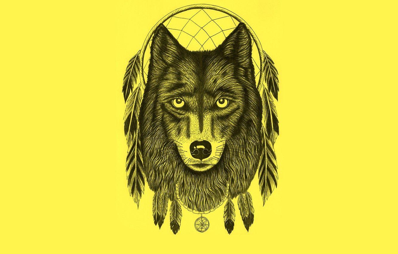 1332x850 Wallpaper wolf, minimalism, feathers, light background, wolf, Dreamcatcher, dreamcatcher, dream catcher image for desktop, section минимализм