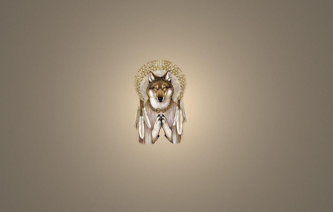 1332x850 Wallpaper wolf, minimalism, feathers, light background, wolf, Dreamcatcher, Dreamcatcher image for desktop, section минимализм