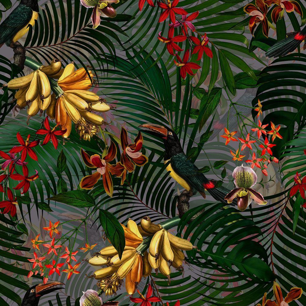 1000x1000 Tucan Tropical Night Jungle