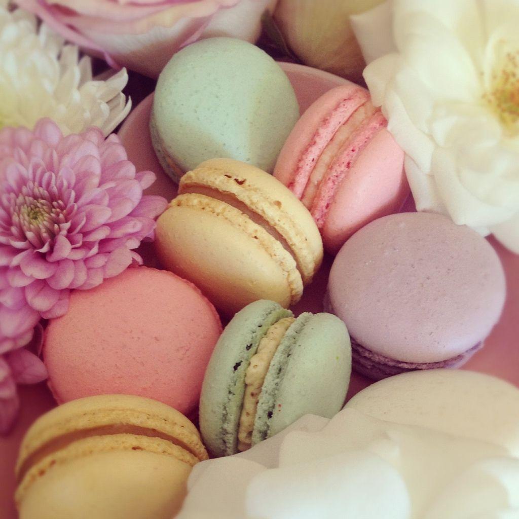 Pastel Macaron Wallpapers - Top Free Pastel Macaron Backgrounds