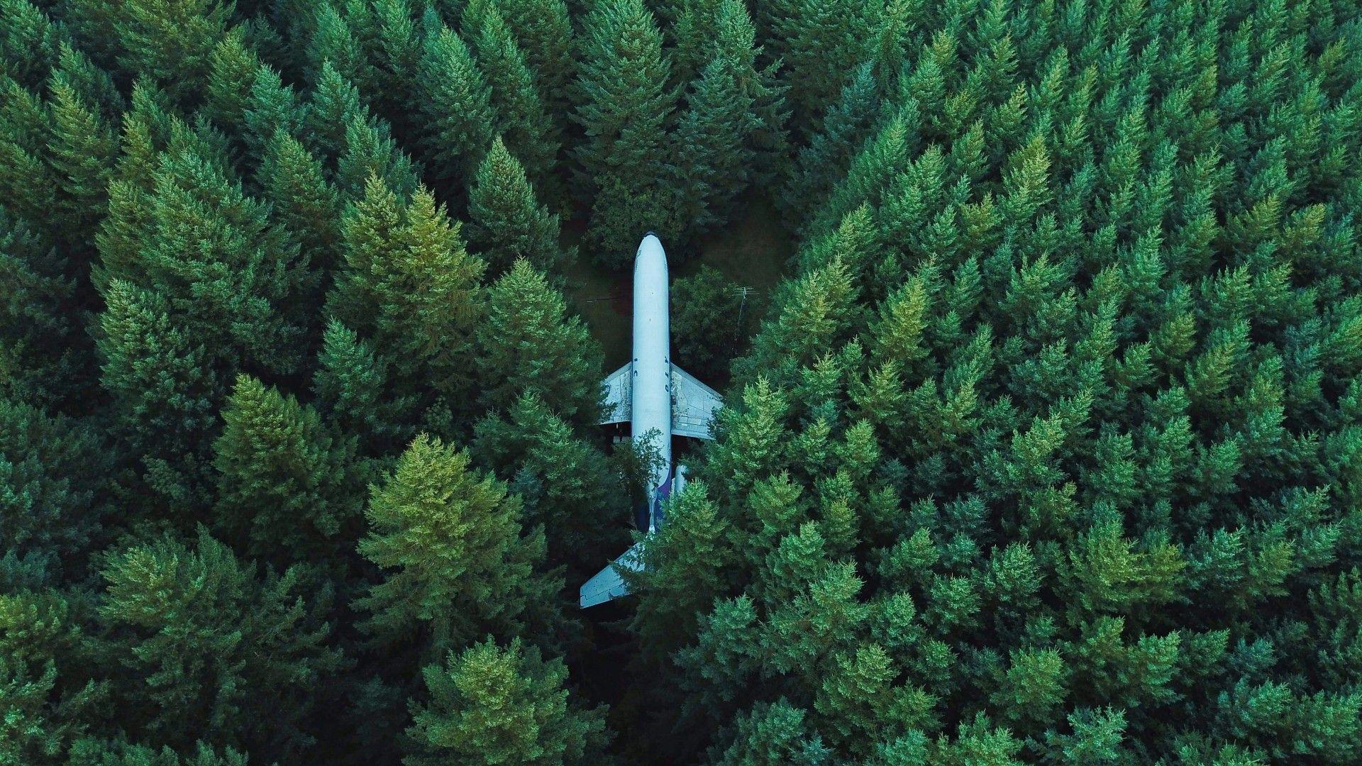 1920x1080 nature, #landscape, #trees, #forest, #wreck, #aerial view, #airplane