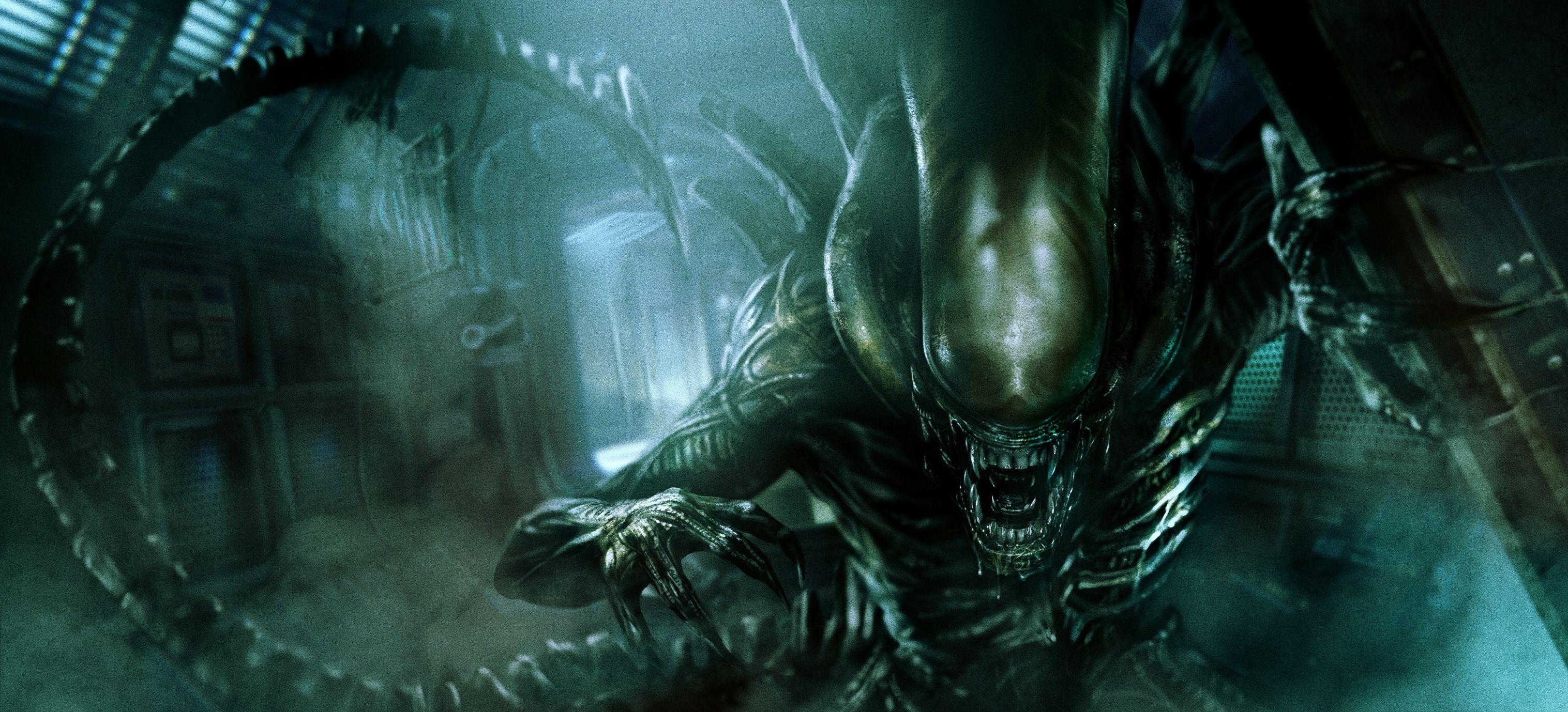 Alien Xenomorph Wallpapers Top Free Alien Xenomorph Backgrounds