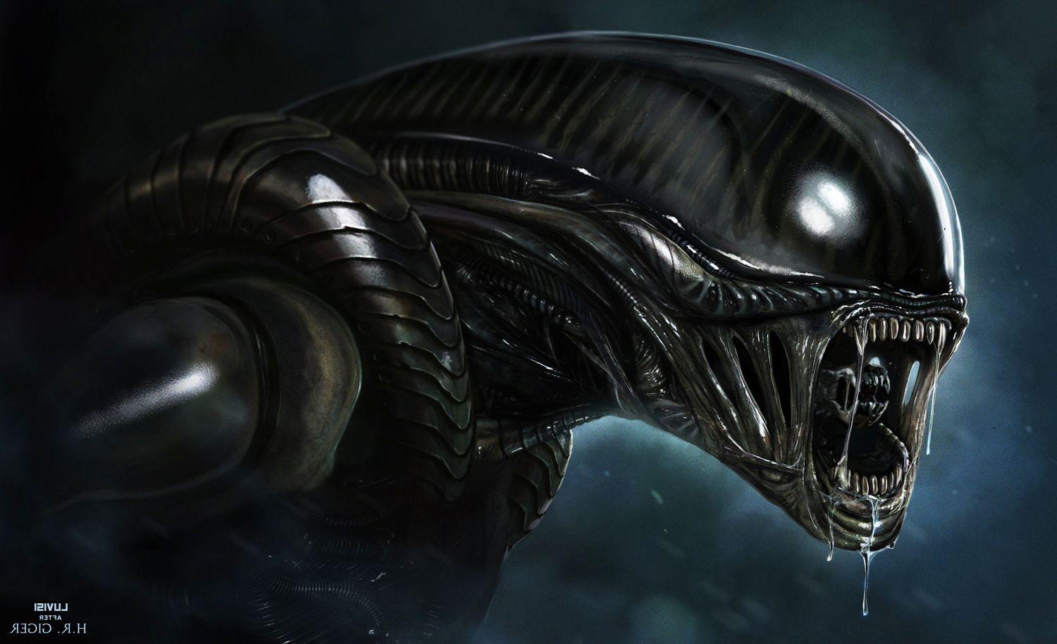 Alien Xenomorph Wallpapers Top Free Alien Xenomorph Backgrounds