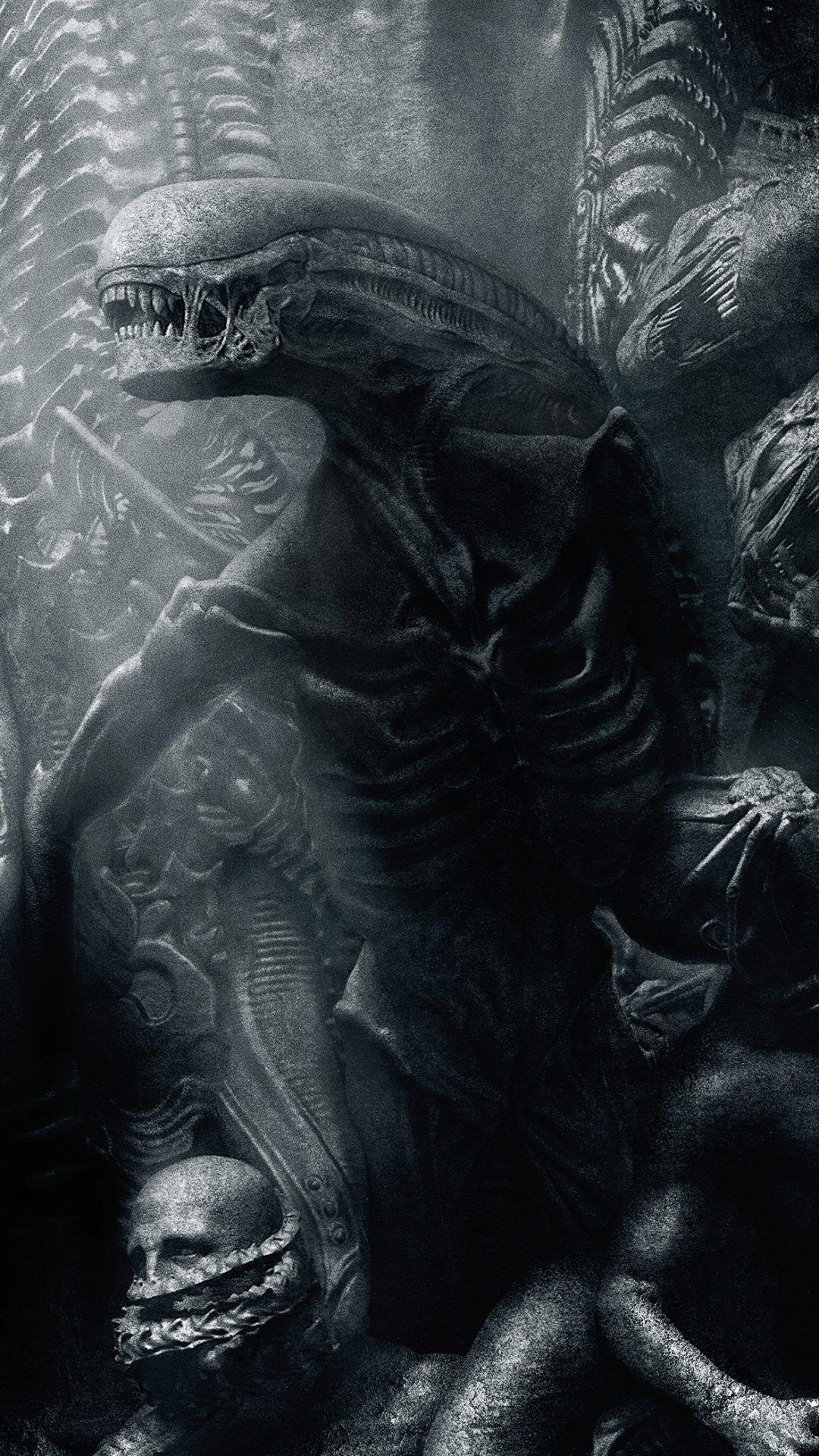 Alien Xenomorph Wallpapers Top Free Alien Xenomorph Backgrounds Wallpaperaccess 