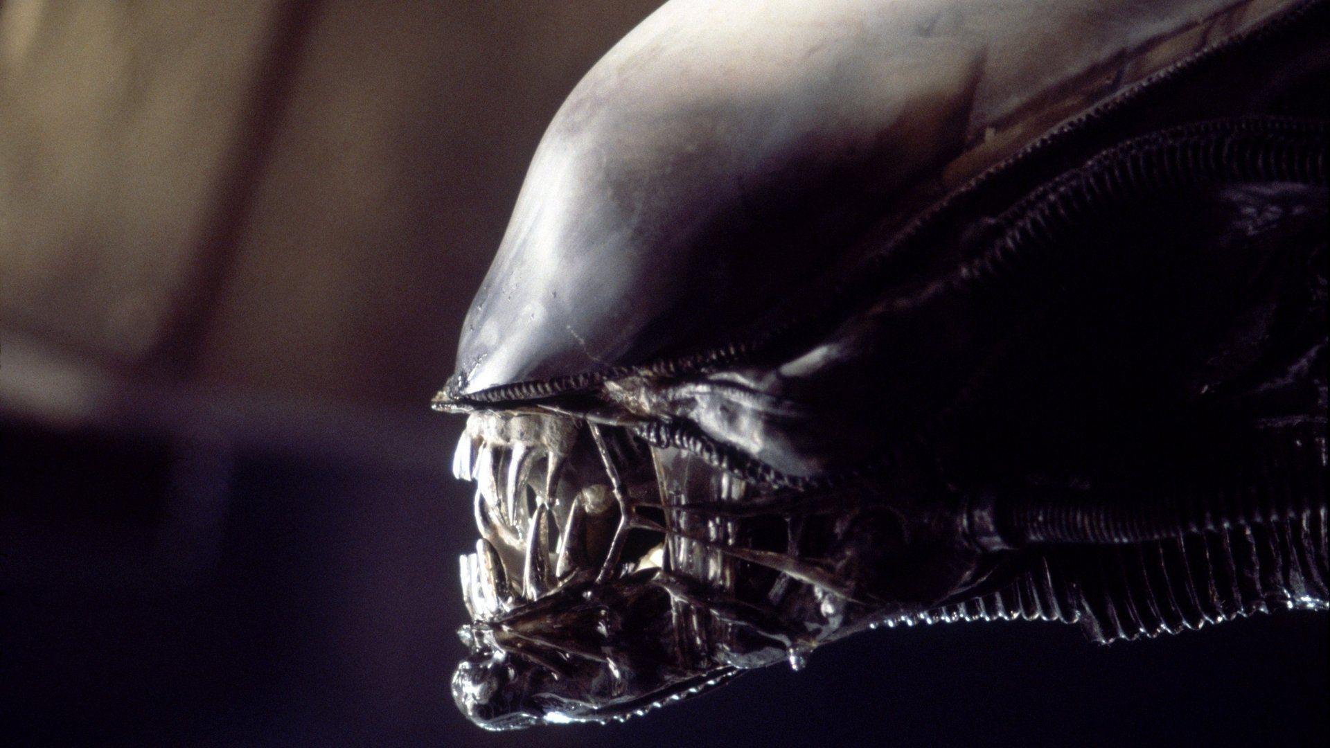 1920x1080 Alien': Every Stage in the Xenomorph's Gruesome Life Cycle